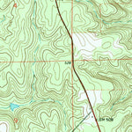 United States Geological Survey Skinnerton, AL (1971, 24000-Scale) digital map