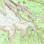 United States Geological Survey Skinney Rock, NM-CO (1983, 24000-Scale) digital map