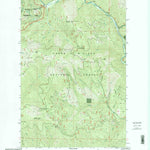 United States Geological Survey Skitwish Peak, ID (1996, 24000-Scale) digital map