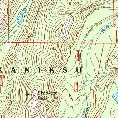 United States Geological Survey Skookum Creek, WA (1996, 24000-Scale) digital map