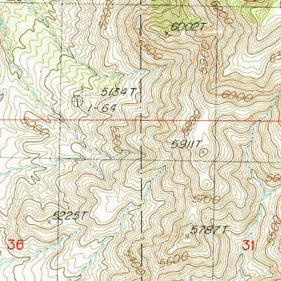 United States Geological Survey Skull Canyon, NM-AZ (1987, 24000-Scale) digital map