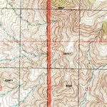 United States Geological Survey Skull Canyon, NM-AZ (1996, 24000-Scale) digital map