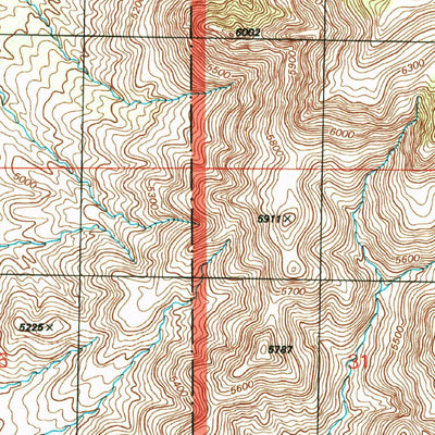 United States Geological Survey Skull Canyon, NM-AZ (1996, 24000-Scale) digital map