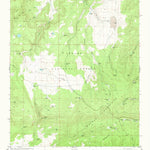 United States Geological Survey Slaughter Mesa, NM (1981, 24000-Scale) digital map
