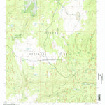United States Geological Survey Slaughter Mesa, NM (1999, 24000-Scale) digital map
