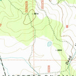 United States Geological Survey Slaughter Mesa, NM (1999, 24000-Scale) digital map