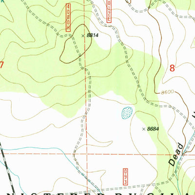 United States Geological Survey Slaughter Mesa, NM (1999, 24000-Scale) digital map