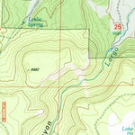 United States Geological Survey Slaughter Mesa, NM (1999, 24000-Scale) digital map