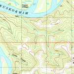 United States Geological Survey Sleetmute D-6, AK (1954, 63360-Scale) digital map