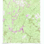 United States Geological Survey Smartt Mountain, TN (1946, 24000-Scale) digital map