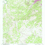 United States Geological Survey Smithson Valley, TX (1964, 24000-Scale) digital map