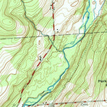 United States Geological Survey Smithville Flats, NY (1948, 24000-Scale) digital map