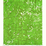 United States Geological Survey Smyrna, AR (1940, 62500-Scale) digital map