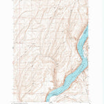 United States Geological Survey Snake River, WA (1991, 24000-Scale) digital map