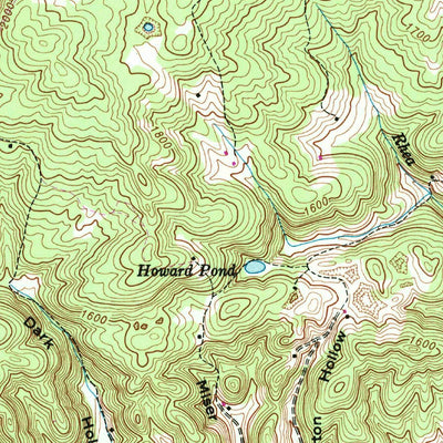 United States Geological Survey Sneedville, TN-VA (1946, 24000-Scale) digital map