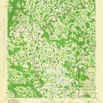 United States Geological Survey Socrum, FL (1944, 31680-Scale) digital map