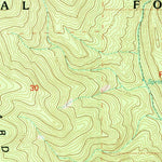 United States Geological Survey South Baldy, NM (1995, 24000-Scale) digital map