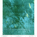 United States Geological Survey South Of Deem City, FL (1973, 24000-Scale) digital map