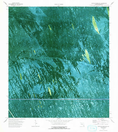 United States Geological Survey South Of Deem City, FL (1973, 24000-Scale) digital map