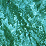 United States Geological Survey South Of Deem City, FL (1973, 24000-Scale) digital map