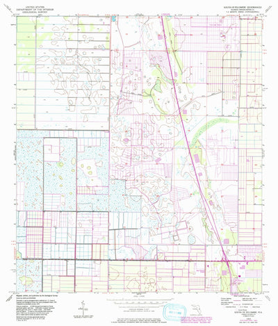 United States Geological Survey South Of Fellsmere, FL (1953, 24000-Scale) digital map