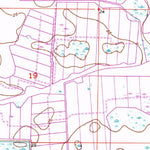 United States Geological Survey South Of Fellsmere, FL (1953, 24000-Scale) digital map