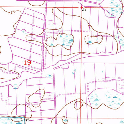 United States Geological Survey South Of Fellsmere, FL (1953, 24000-Scale) digital map