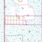 United States Geological Survey South Of Fellsmere, FL (1953, 24000-Scale) digital map