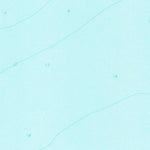 United States Geological Survey South Of Star Lake, TX (1962, 24000-Scale) digital map