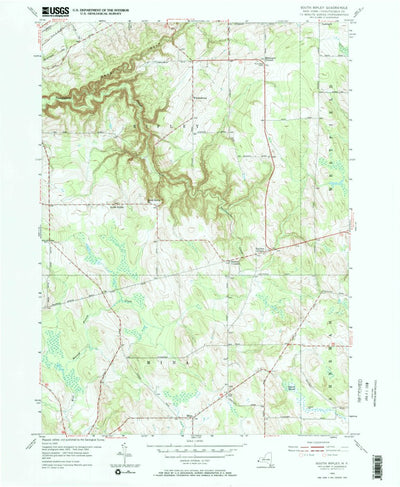 United States Geological Survey South Ripley, NY (1954, 24000-Scale) digital map