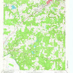 United States Geological Survey Southwest Palestine, TX (1982, 24000-Scale) digital map