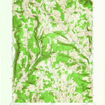 United States Geological Survey Speedsville, NY (1949, 24000-Scale) digital map