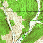 United States Geological Survey Speedsville, NY (1949, 24000-Scale) digital map
