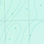 United States Geological Survey Spencer Lake, MI (1989, 24000-Scale) digital map