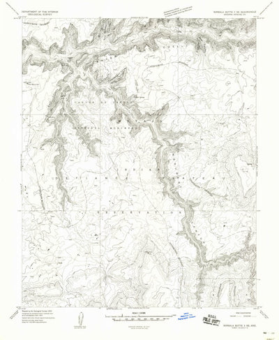 United States Geological Survey Spider Rock, AZ (1955, 24000-Scale) digital map