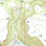 United States Geological Survey Spodue Mountain, OR (1998, 24000-Scale) digital map