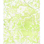 United States Geological Survey Spring Bluff, MO (1966, 24000-Scale) digital map