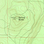 United States Geological Survey Spring Butte, OR (1963, 24000-Scale) digital map