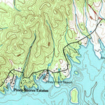 United States Geological Survey Spring City, TN (1966, 24000-Scale) digital map
