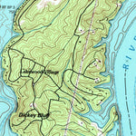 United States Geological Survey Spring City, TN (1966, 24000-Scale) digital map