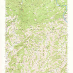 United States Geological Survey Spring Creek, NC (1946, 24000-Scale) digital map