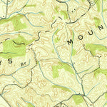 United States Geological Survey Springvale, TN (1939, 24000-Scale) digital map
