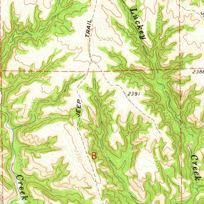 United States Geological Survey Springview, NE (1964, 24000-Scale) digital map