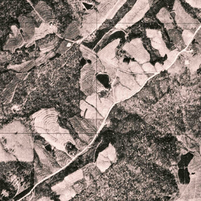 United States Geological Survey Springville, AL (1975, 24000-Scale) digital map