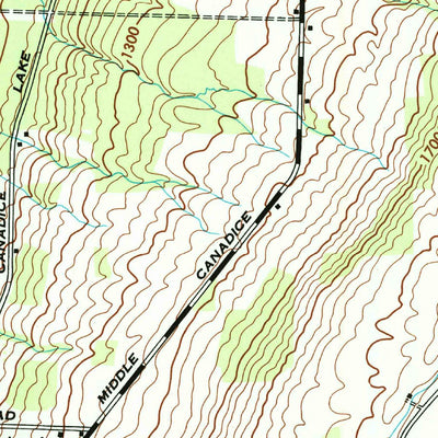 United States Geological Survey Springwater, NY (1942, 24000-Scale) digital map