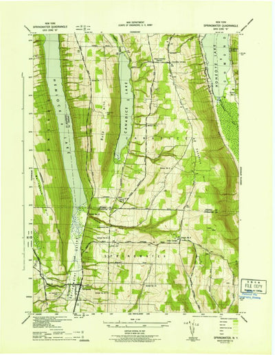 United States Geological Survey Springwater, NY (1942, 31680-Scale) digital map