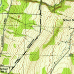 United States Geological Survey Springwater, NY (1942, 31680-Scale) digital map