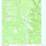 United States Geological Survey Spurger, TX (1984, 24000-Scale) digital map