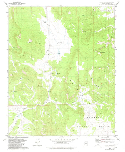 United States Geological Survey Squaw Peak, AZ (1980, 24000-Scale) digital map