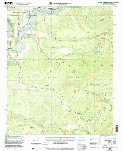United States Geological Survey Squirrel Springs Canyon, NM (1999, 24000-Scale) digital map